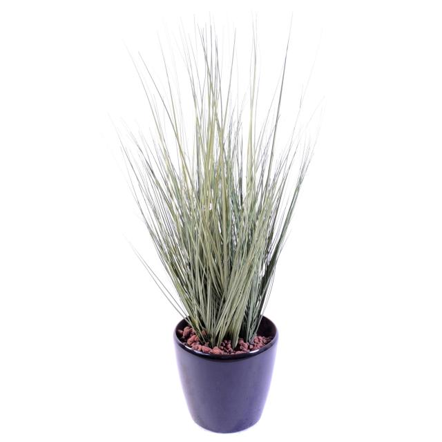 Onion Grass artificiel GV
