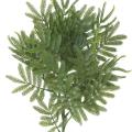 TAMARIN Artificiel SPRAY (mimosa)