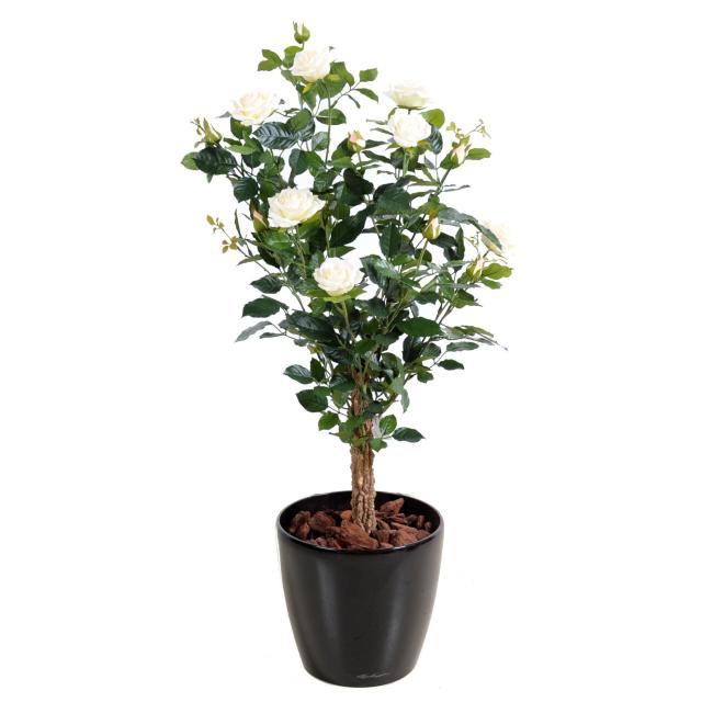 Rosier artificiel ROYAL