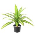 DRACAENA Artificiel LARGE