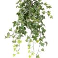LIERRE *210 Artificiel UV