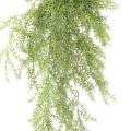 ASPARAGUS Artificiel FERN 120