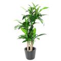 DRACAENA Artificiel FRAGRANS 135 (sur troncs)