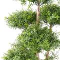 EUCALYPTUS Artificiel M TREE