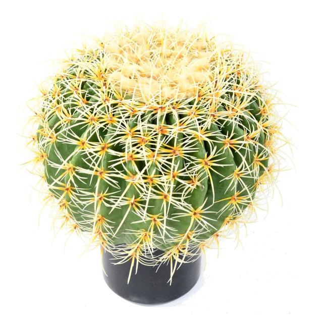 CACTUS artificiel BALL