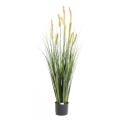 Foxtail artificiel GF