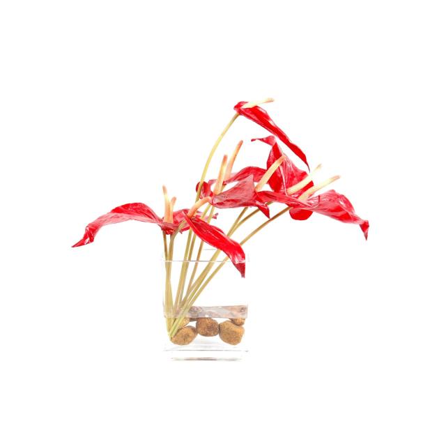 Bouquet Anthurium Artificiel en Vase