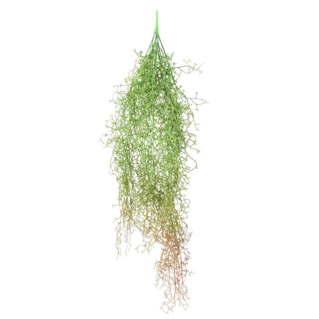 Tillandsia Artificielle Chute