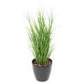 LEMON GRASS Artificielle 90