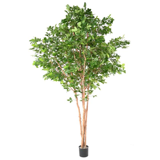 HETRE Artificiel GRANDIFOLIA TREE 350