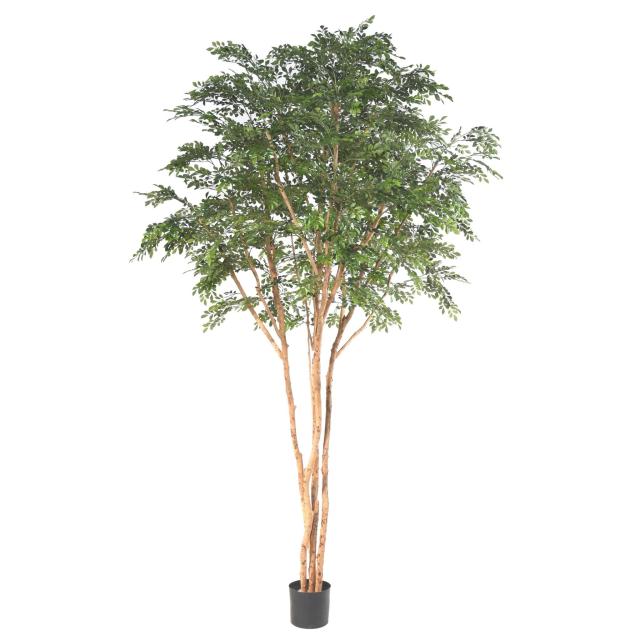 BUCIDA Artificiel TREE 330 LUXE