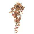 COLEUS Artificiel CHUTE 75