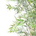 Bambou artificiel JAPANESE PLAST UV