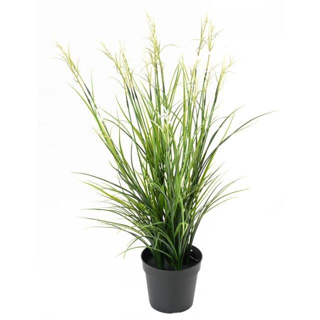 ACORUS Artificiel FLEURI POT