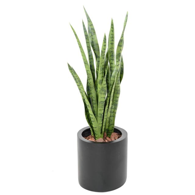 SANSEVIERIA Artificiel 85