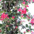 Bougainvillée artificiel NEW LIANES