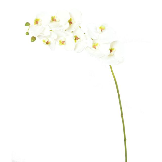 Phalaenopsis Artificielle, 1 Brin de 9 Fleurs