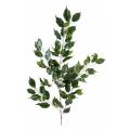 Ficus artificiel GEANT TREE