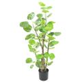 ARALIA Artificiel FABIAN