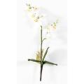 PHALAENOPSIS artificielle DOUBLE