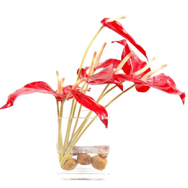 Bouquet artificiel ANTHURIUM