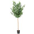 EUCALYPTUS Artificiel GUNNII TIGE