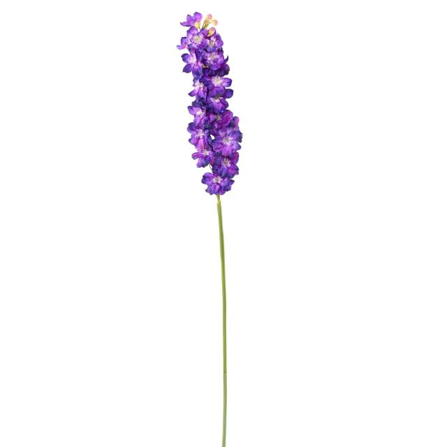 DELPHINIUM Artificiel