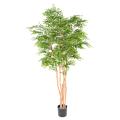 ACACIA Artificiel