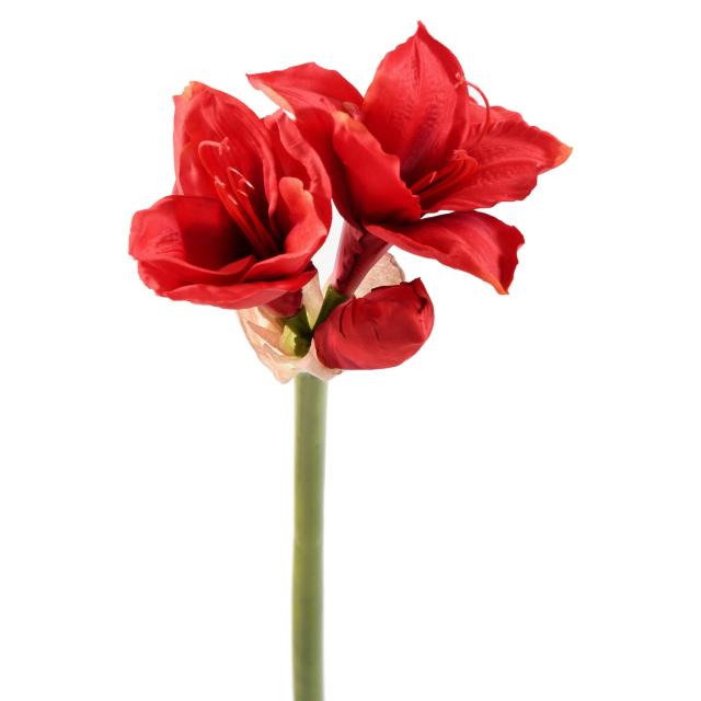Amaryllis Artificielle Rouge Avec Tige