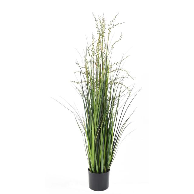 BERRY artificiel ONION GRASS