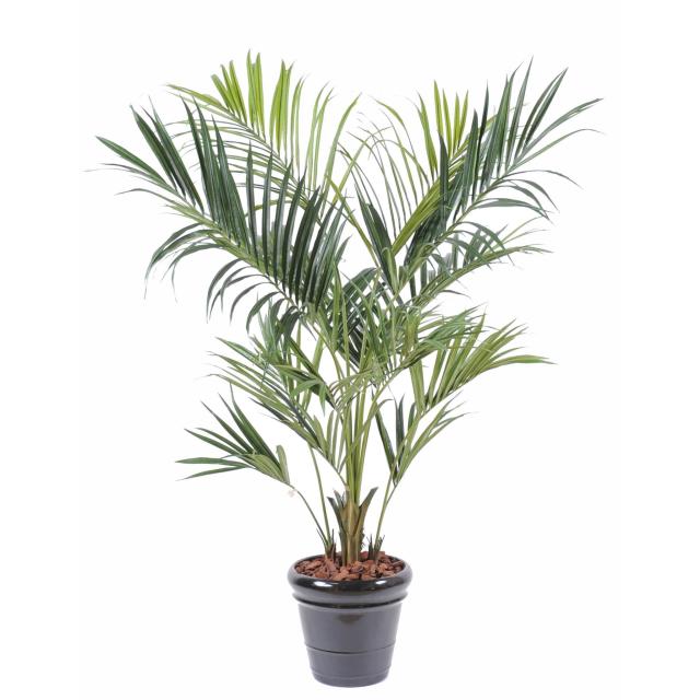Kentia artificiel ROYAL
