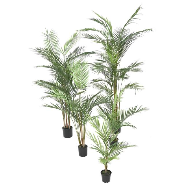 Areca Artificiel PLAST