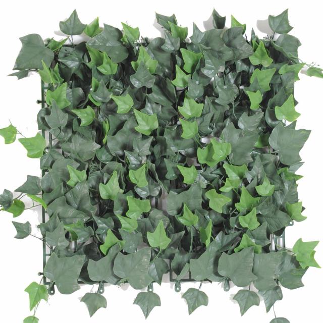 Lierre artificiel PLAQUE 50*50