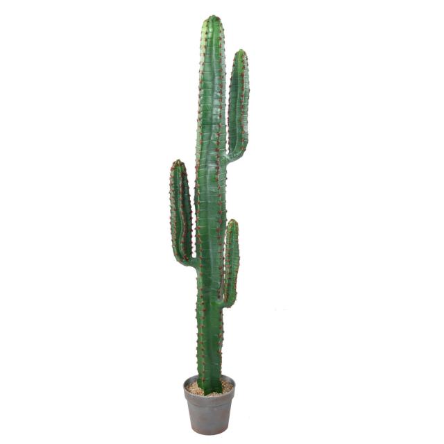 Cactus Mexico Artificiel