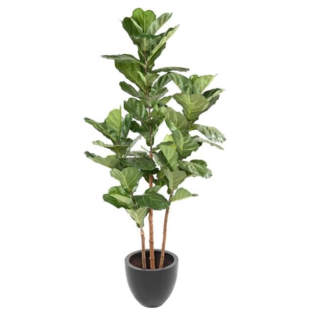 Lyrata Artificiel 3 Tiges