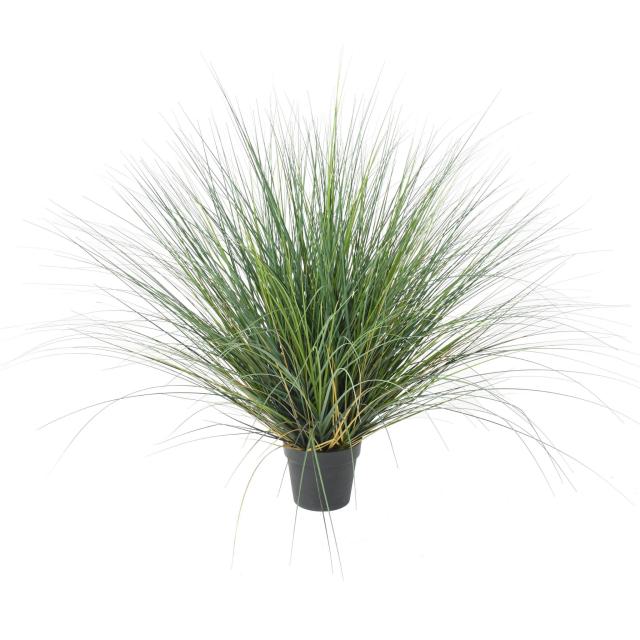 ONION GRASS Artificiel NEW ROUND