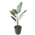 TRAVELLERS PALM TREE Artificiel