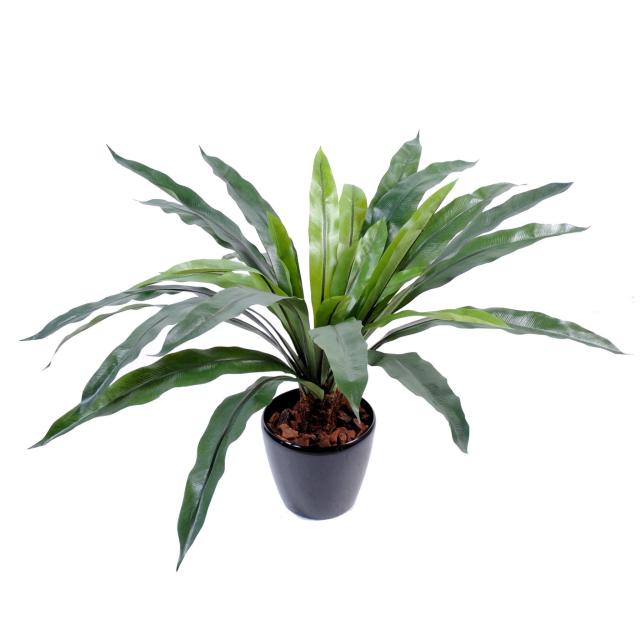 Asplenium artificiel tronc*30