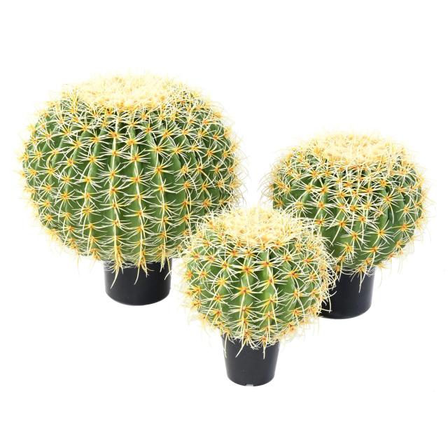 Cactus Ball Artificiel