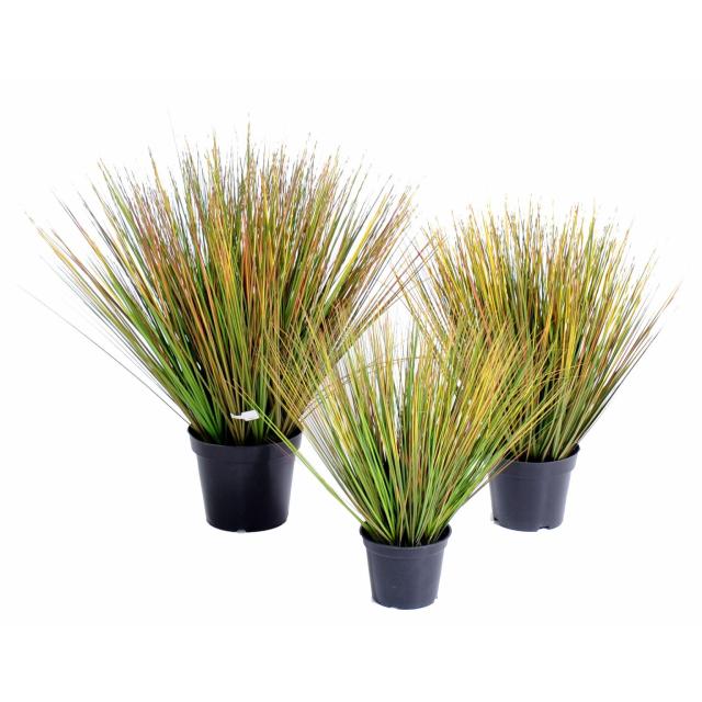 Onion Grass Round Artificiel Grandes Feuilles