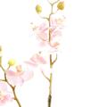 Phalaenopsis artificielle M TIGE