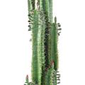 Cactus artificiel FINGER