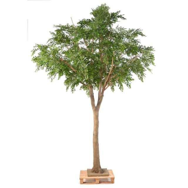 BUCIDA artificiel