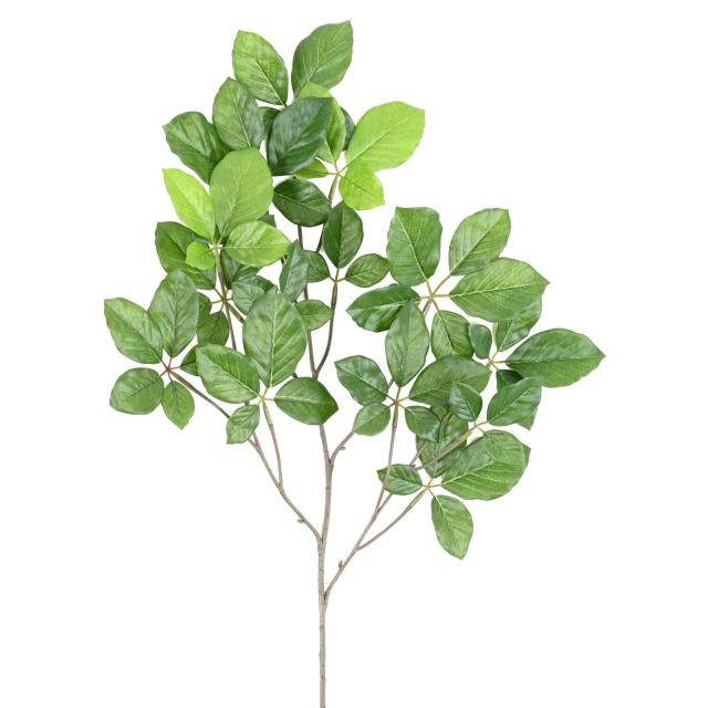 Hetre Grandifolia SPRAY Artificiel