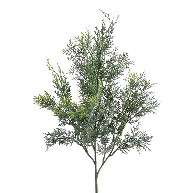 Cypres de Lawson SPRAY Artificiel