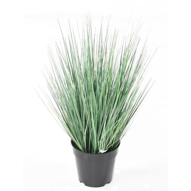 ONION artificiel GRASS NEW