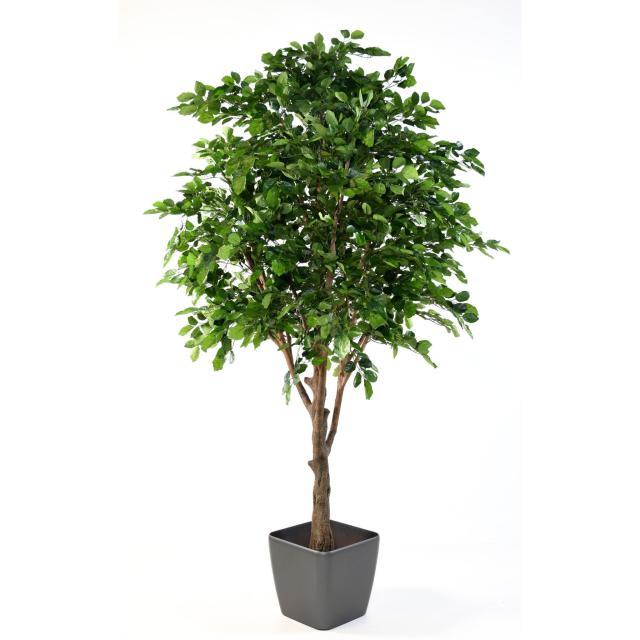 Arbre artificiel intérieur et extérieur | Vertimea