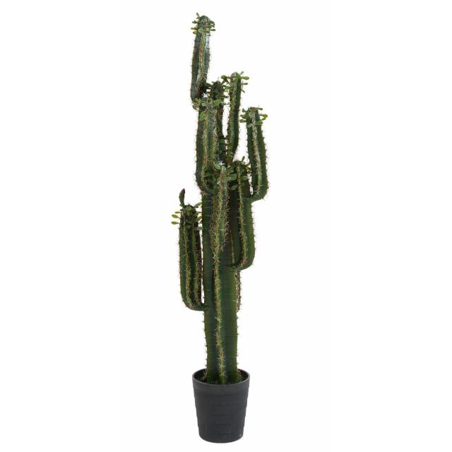 Cactus artificiel FINGER