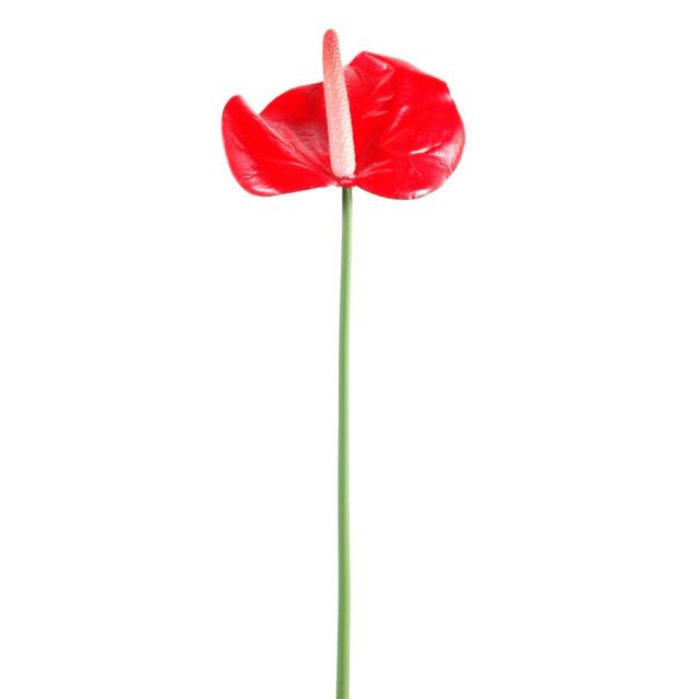 Anthurium Mini Artificiel Sur Tige, 1 Fleur