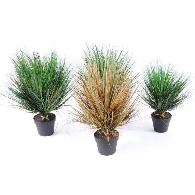 Onion Grass Round Artificiel